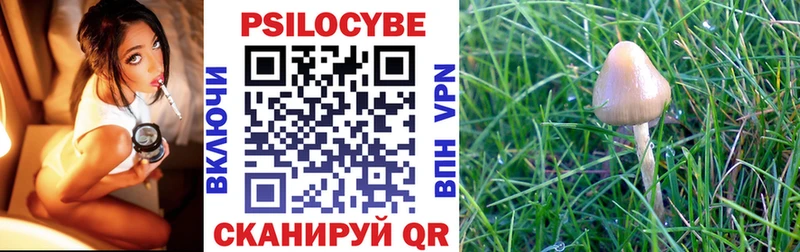закладка  blacksprut как войти  Галлюциногенные грибы MAGIC MUSHROOMS  Горбатов 