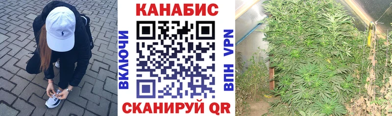 Бошки марихуана Amnesia  мориарти наркотические препараты  Горбатов 